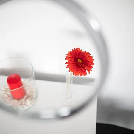 Appartamento Penthouse 28 *